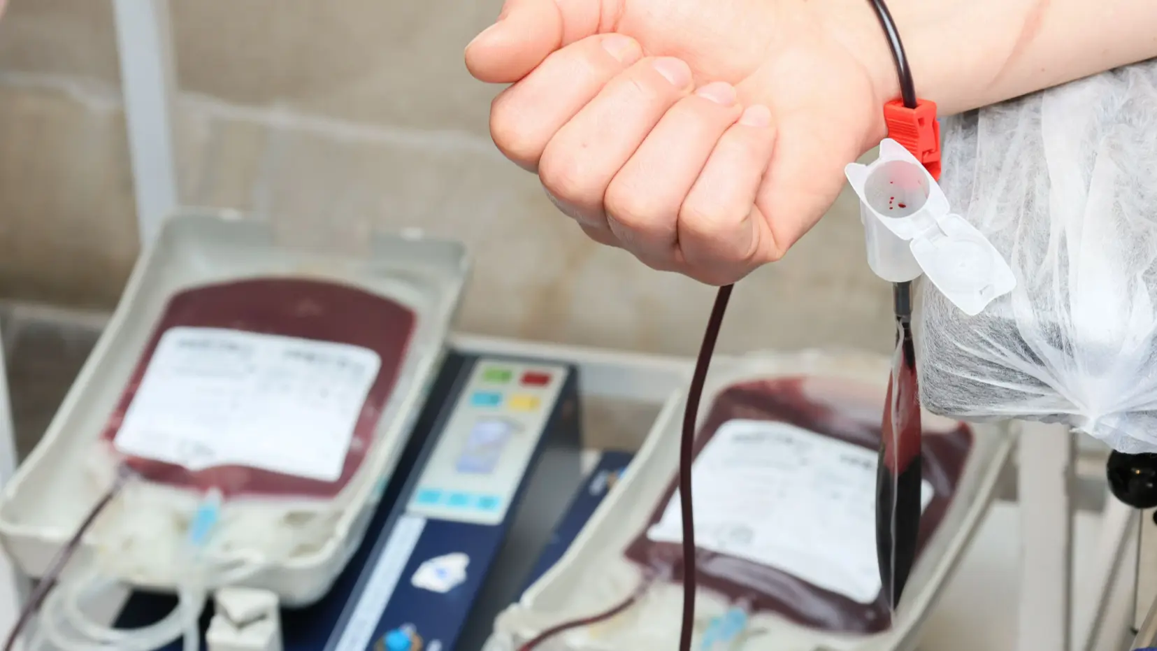 Texto alternativo (ALT): Bolsas de sangue sendo preenchidas durante uma doação em hemocentro, com o braço de um doador em destaque.